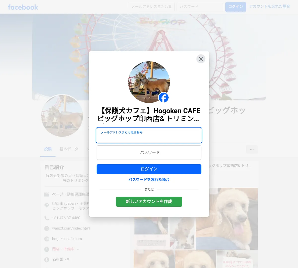 保護犬カフェR 印西店/HOGOKEN CAFE 印西店 ウェブサイトキャプチャ